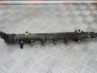 топливная рампа Hyundai Tucson 1 поколение 2006, 2.0 л., дизель, АКПП, внедорожник 5 дв., 0445214085