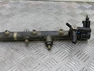 топливная рампа Volkswagen Touareg 1 поколение [рестайлинг] 2007, 3.0 л., дизель, АКПП, внедорожник 5 дв., 05913009J