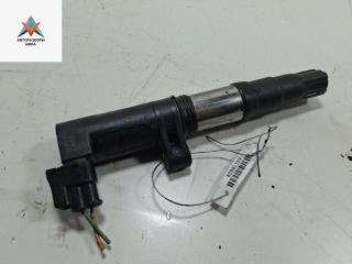 катушка зажигания Renault Scenic 2 поколение 2004, 1.6 л., бензин, МКПП, зелёный, минивэн, R0903S00100