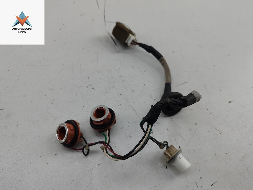 Патрон лампы фонаря Kia Rio 2 поколение 2005, 1.6 л., бензин, МКПП, серый, хетчбэк 5 дв. - фото №1