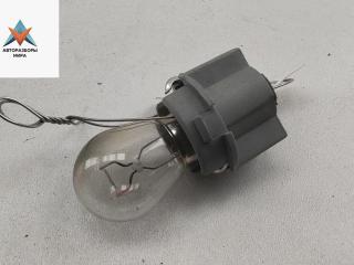 Патрон лампы фонаря Volkswagen Passat B5 [рестайлинг] 2002, 2.0 л., бензин, МКПП, белый, седан, 3B5945257C