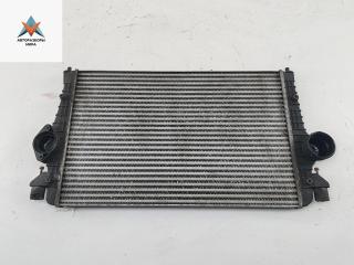 радиатор интеркулера Volkswagen Sharan 1 поколение [2-й рестайлинг] 2009, 2.0 л., дизель, МКПП, серый, минивэн, 3M219L440AA