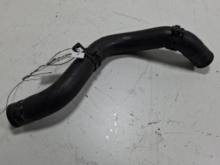 патрубок (трубопровод, шланг) Volkswagen Bora 2000, 1.6 л., бензин, МКПП, красный, седан