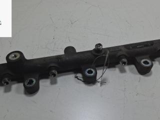 топливная рампа Fiat Scudo 1 поколение 2004, 2.0 л., дизель, МКПП, белый, фургон, 0445214019