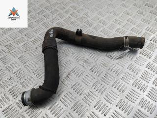 патрубок радиатора Peugeot Expert 1 поколение 2001, 2.0 л., бензин