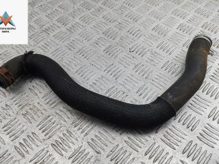 патрубок радиатора Citroen Xsara Picasso 1 поколение 2002, 1.8 л., бензин