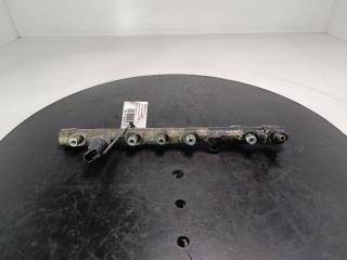 топливная рампа Renault Megane 2 поколение 2005, Дизель 1.9, цвет, 8200330912