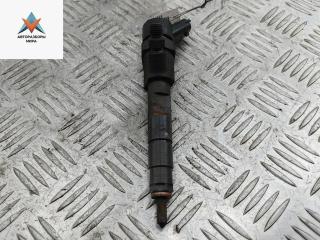 форсунка Renault Scenic 1 поколение [рестайлинг] 2002, 1.9 л., дизель, АКПП, чёрный, минивэн, 8200100272, 0445110110A