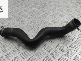 патрубок радиатора Nissan Primera P12 2004, 2.0 л., бензин, 21503AV600