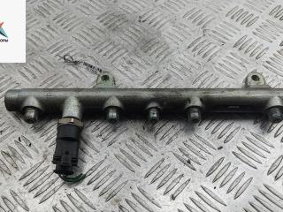 топливная рампа Renault Scenic 1 поколение [рестайлинг] 2002, 1.9 л., дизель, АКПП, чёрный, минивэн, 0445214015, 7700111013