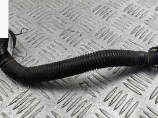 патрубок (трубопровод, шланг) SEAT Leon 2 поколение 2006, 1.6 л., бензин, МКПП, красный, хетчбэк 5 дв., 036103493CR