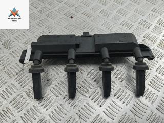 катушка зажигания Citroen C3 I 2008, 1.1 л., бензин, МКПП, красный, хетчбэк 5 дв.