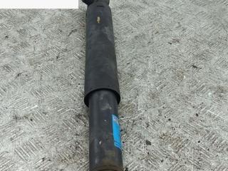 амортизатор задний левый Renault Scenic 1 поколение [рестайлинг] 2003, 1.9 л., дизель, МКПП, серый, минивэн, 310120