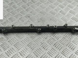 топливная рампа BMW 5 серия E39 [рестайлинг] 2003, 3.0 л., дизель, АКПП, чёрный, универсал, 0445216002