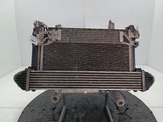 кассета радиаторов Mercedes-Benz A-Класс W169 2007, цвет, A1695002103