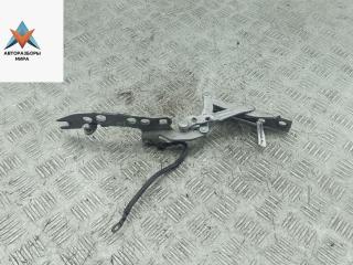 петля капота правая BMW 5 серия E39 1999, серый, седан