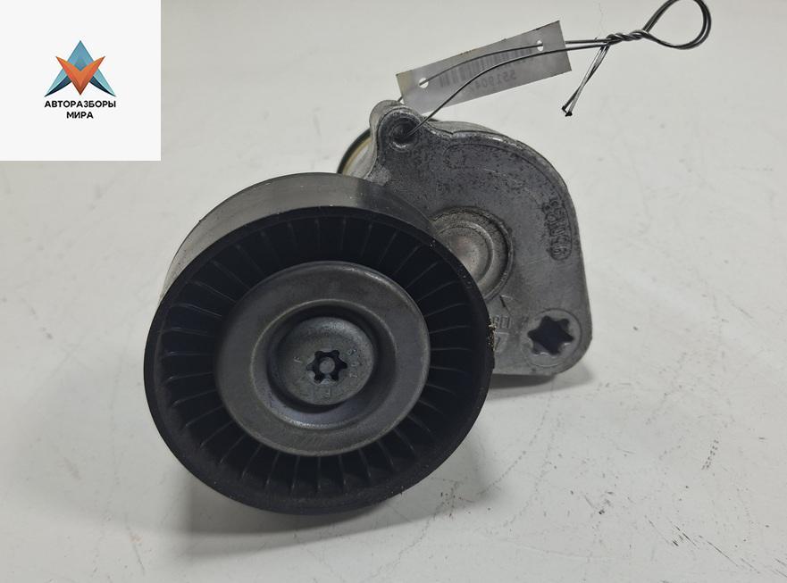 механизм натяжения ремня, цепи Mercedes-Benz E-Класс W211/S211 2002, 1.8 л., бензин, АКПП, синий, седан, 950138 - фото №1