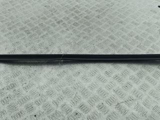 Молдинг стекла двери наружный Ford Focus 2 поколение [рестайлинг] 2007, 1.6 л., дизель, МКПП, синий, хетчбэк 3 дв.