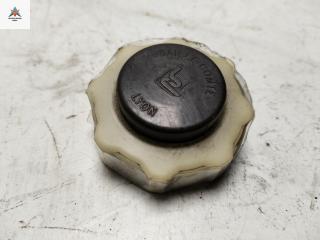 пробка расширительного бачка Renault Laguna 1 поколение 1997, 3.0 л., бензин, МКПП, серый, универсал, 7700805031