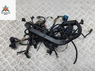 проводка двигателя Peugeot 607 1 поколение 2000, 2.2 л., бензин, МКПП, серый, седан, EW12