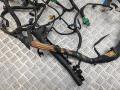 проводка двигателя Peugeot Expert 1 поколение 2001, 2.0 л., бензин, АКПП, белый, фургон, EW10 - фото №4