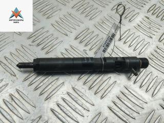 форсунка Renault Kangoo 1 поколение [рестайлинг] 2003, 1.5 л., дизель, МКПП, красный, фургон, EJBR01801A, 8200049873, 8200365186