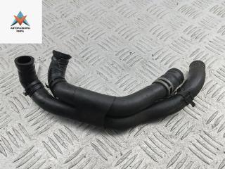 патрубок (трубопровод, шланг) Volkswagen Passat B6 2008, 1.9 л., дизель, МКПП, красный, универсал