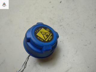 пробка расширительного бачка Citroen Jumper 2 поколение 2013, 2.2 л., дизель, МКПП, серый, микроавтобус, A878