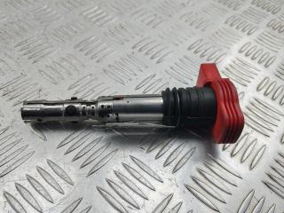 катушка зажигания Audi A4 B7 2004, 2.0 л., бензин, МКПП, синий, седан, 0040102051