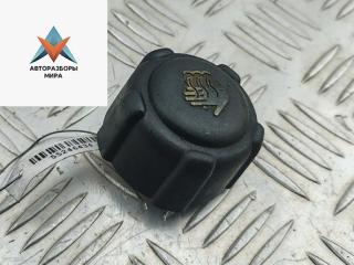 пробка расширительного бачка Renault Kangoo 1 поколение [рестайлинг] 2003, 1.5 л., дизель, МКПП, красный, фургон