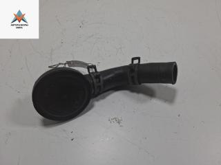 маслоотделитель (сапун) SEAT Alhambra 1 поколение [рестайлинг] 2005, 1.8 л., бензин, АКПП, серый, минивэн, 034129101B