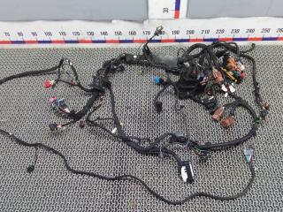 Электропроводка бензиновая Citroen C5 AirCross 1 поколение 2022, 1.2 л., бензин, МКПП, внедорожник 5 дв.