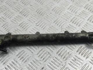 топливная рампа Mercedes-Benz Vito-2 / Viano W639 2005, 2.2 л., дизель, МКПП, белый, микроавтобус, 0445214038