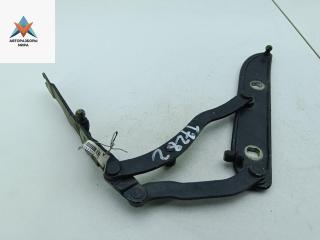 петля крышки багажника BMW 3 серия E46 2000, чёрный, купе, 8220074