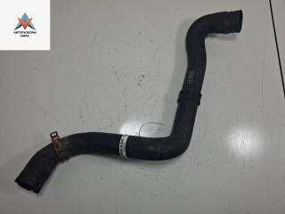 патрубок радиатора Ford Focus 2 поколение [рестайлинг] 2009, 1.6 л., i, бензин