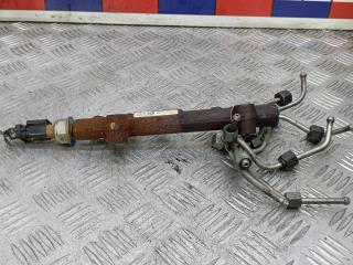 топливная рампа Peugeot 3008 2 поколение 2018, 1.6 л., дизель, АКПП, внедорожник 5 дв., 980494008000