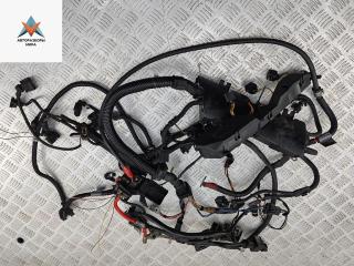 проводка двигателя BMW 3 серия E46 [рестайлинг] 2003, 2.0 л., бензин, МКПП, синий, универсал