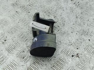 петля двери Renault Scenic 2 поколение 2004, синий, минивэн