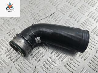 патрубок интеркулера Skoda Roomster 1 поколение 2008, 1.9 л., дизель, МКПП, синий, фургон