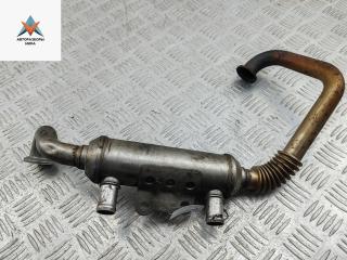 охладитель EGR / Радиатор EGR Volkswagen Caddy 3 поколение 2005, 2.0 л., дизель, МКПП, белый, фургон, 038131513AF