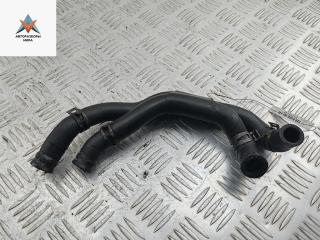 патрубок (трубопровод, шланг) Skoda Roomster 1 поколение 2008, 1.9 л., дизель, МКПП, синий, фургон