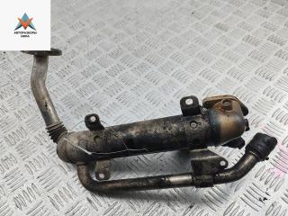 охладитель EGR / Радиатор EGR Skoda Roomster 1 поколение 2008, 1.9 л., дизель, МКПП, синий, фургон, 03G131512AD