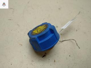 пробка расширительного бачка Fiat Stilo 1 поколение 2001, 1.8 л., бензин, МКПП, серый, хетчбэк 3 дв., A878