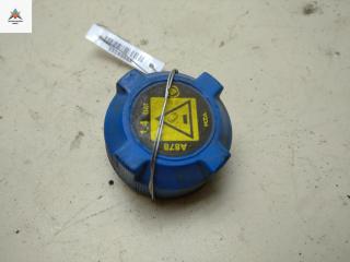 пробка расширительного бачка Fiat Doblo 1 поколение 2002, 1.6 л., бензин, МКПП, красный, фургон, A878