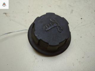 пробка расширительного бачка Volvo S40 1 поколение [рестайлинг] 2002, 1.6 л., бензин, МКПП, синий, универсал, 30864125