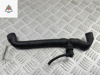 патрубок вентиляции картера Volkswagen Golf 4 поколение 2000, 1.4 л., бензин, МКПП, синий, хетчбэк 5 дв., 036103474C