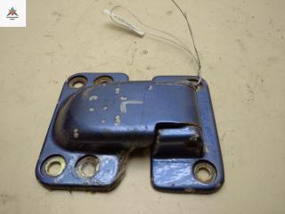 петля двери Fiat Ducato 2 поколение [рестайлинг] 2005, синий, микроавтобус