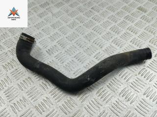 патрубок радиатора Ford Fiesta 6 поколение 2009, 1.3 л., бензин, 8V218B274AC