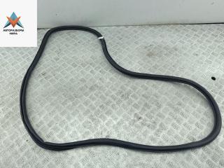 уплотнитель двери Skoda Octavia mk3 (A7 5E) 2014, 1.4 л., бензин, МКПП, коричневый, хетчбэк 5 дв.