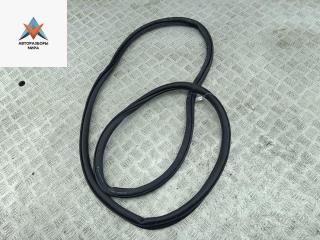 уплотнитель двери Skoda Octavia mk3 (A7 5E) 2014, 1.4 л., бензин, МКПП, коричневый, хетчбэк 5 дв.